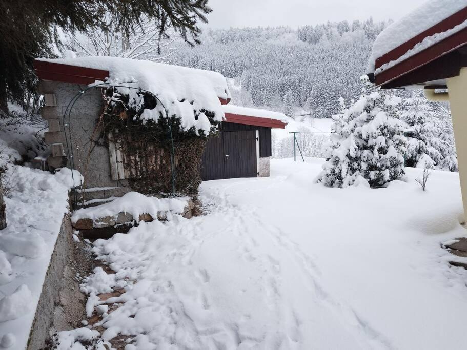 Maison De Montagne Vue Magnifique Ventron Εξωτερικό φωτογραφία