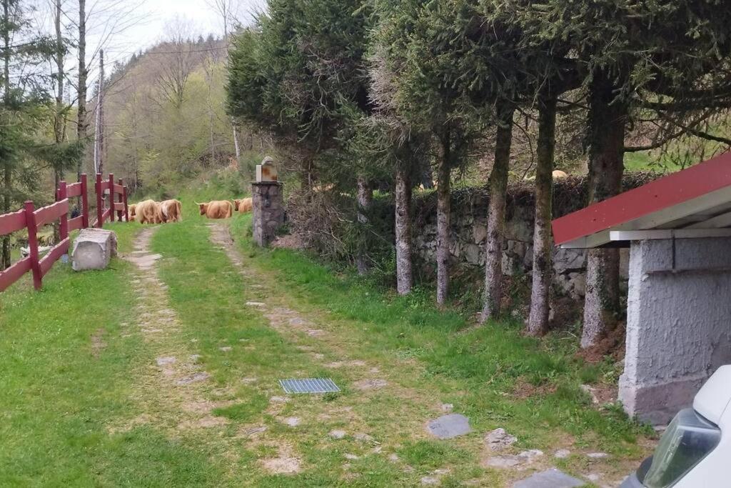 Maison De Montagne Vue Magnifique Ventron Εξωτερικό φωτογραφία