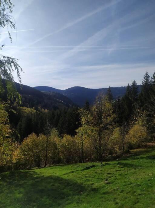 Maison De Montagne Vue Magnifique Ventron Εξωτερικό φωτογραφία