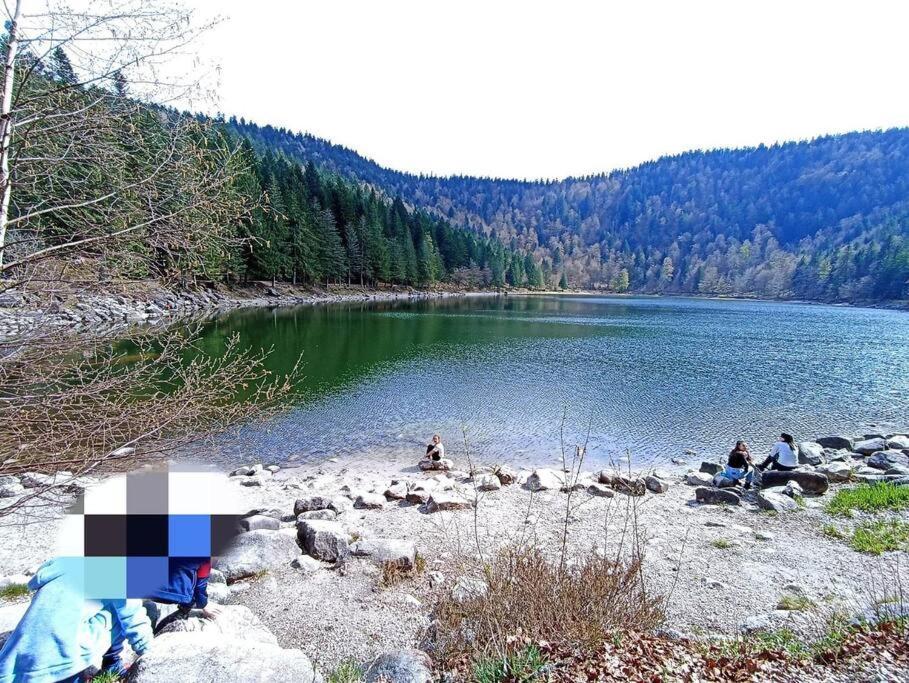 Maison De Montagne Vue Magnifique Ventron Εξωτερικό φωτογραφία