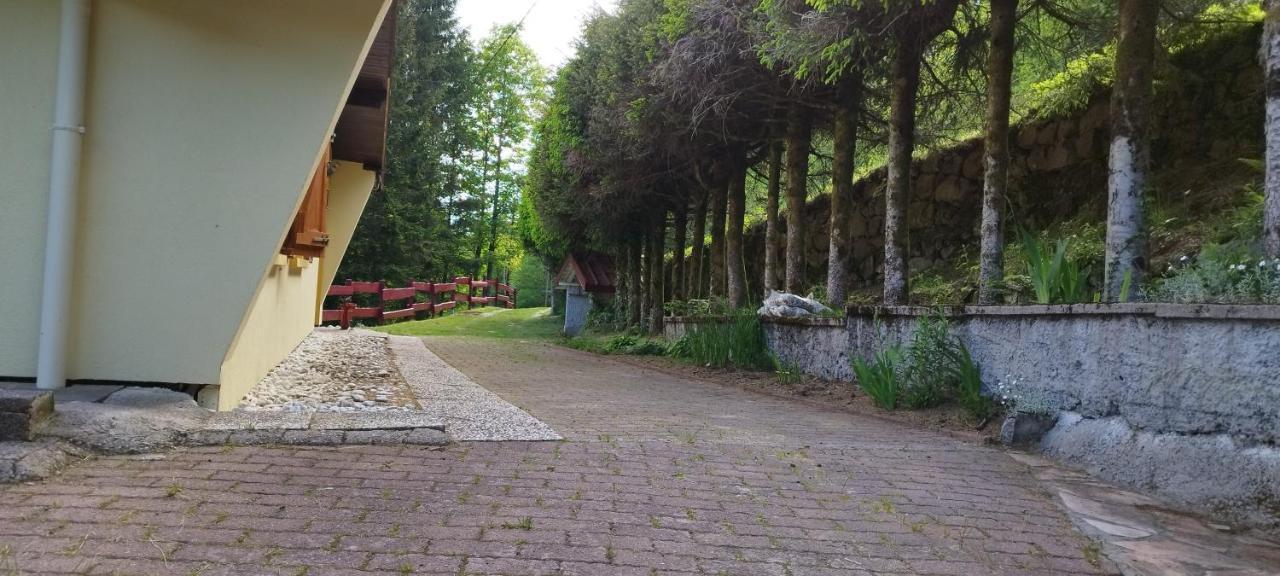 Maison De Montagne Vue Magnifique Ventron Εξωτερικό φωτογραφία